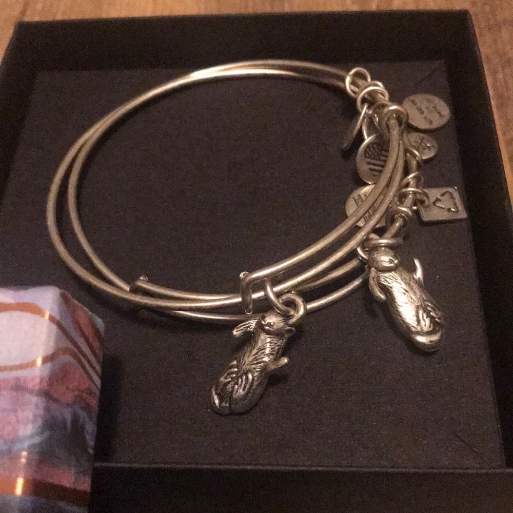Alex & Ani bracelets